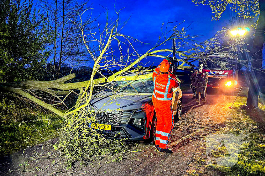 Omgevallen boom raakt auto