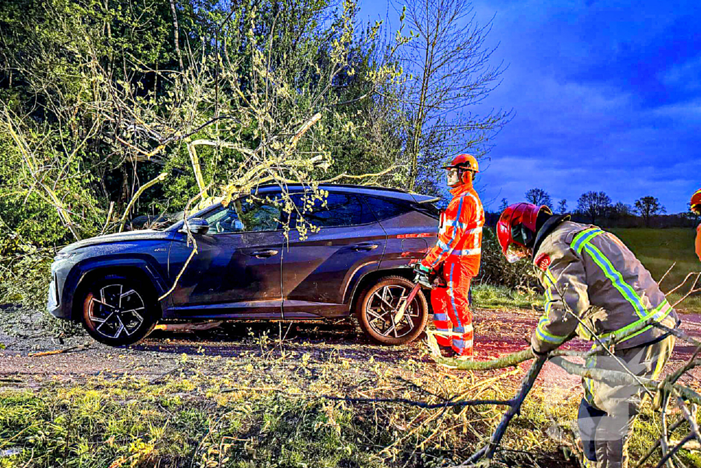 Omgevallen boom raakt auto