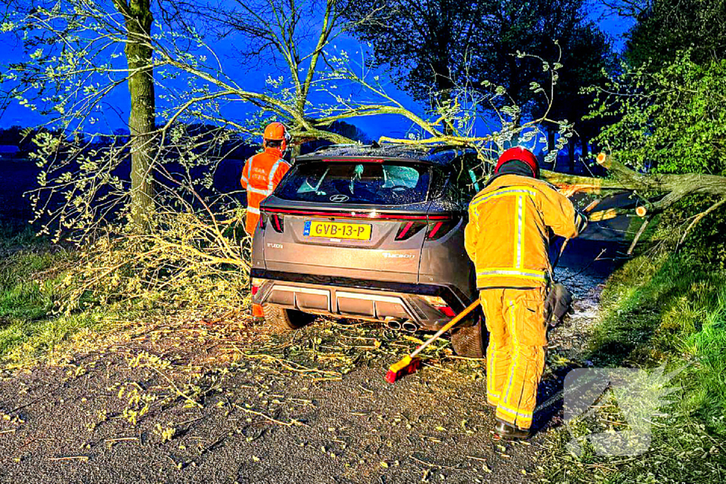 Omgevallen boom raakt auto