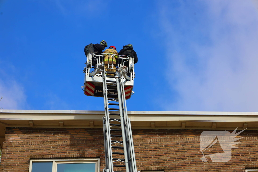 Arrestatieteam ingezet voor persoon met onbegrepen gedrag