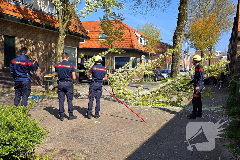 Verhuiswagen raakt tak, brandweer opgeroepen