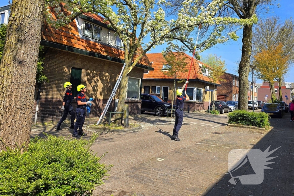Verhuiswagen raakt tak, brandweer opgeroepen