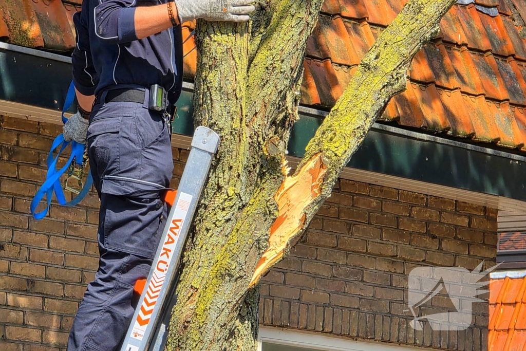 Verhuiswagen raakt tak, brandweer opgeroepen