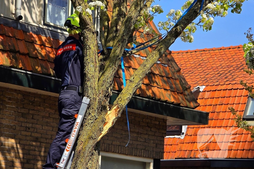 Verhuiswagen raakt tak, brandweer opgeroepen
