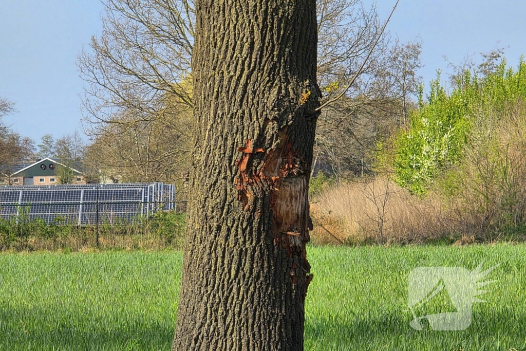 Slachtoffer ernstig ongeluk overleden