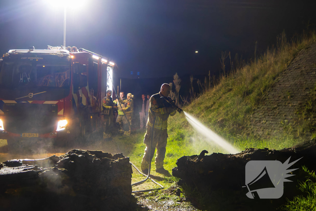 Brand ontstaan in boomstronk