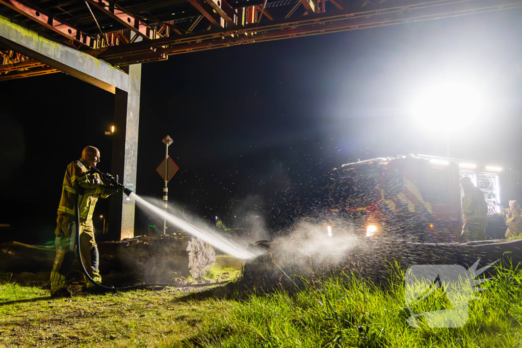 Brand ontstaan in boomstronk