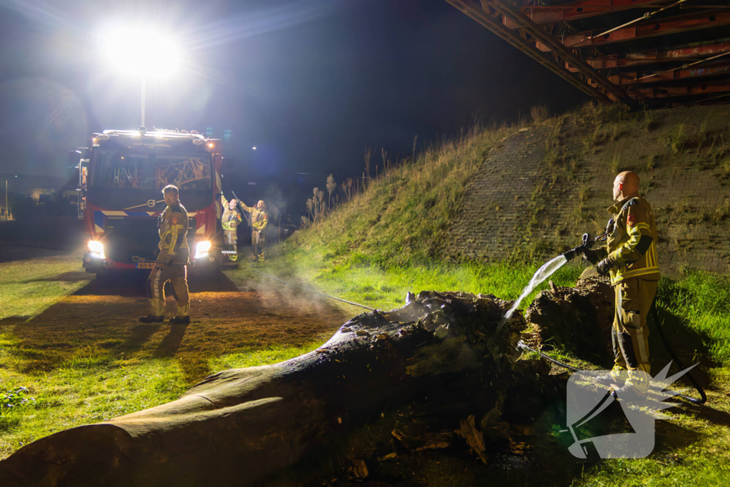 Brand ontstaan in boomstronk