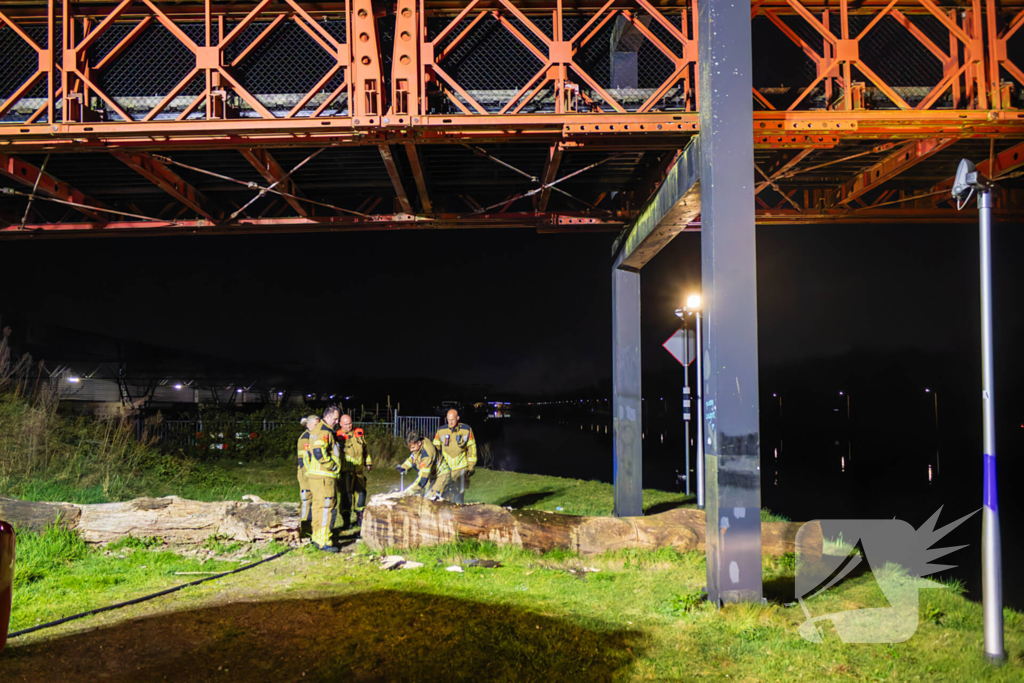 Brand ontstaan in boomstronk