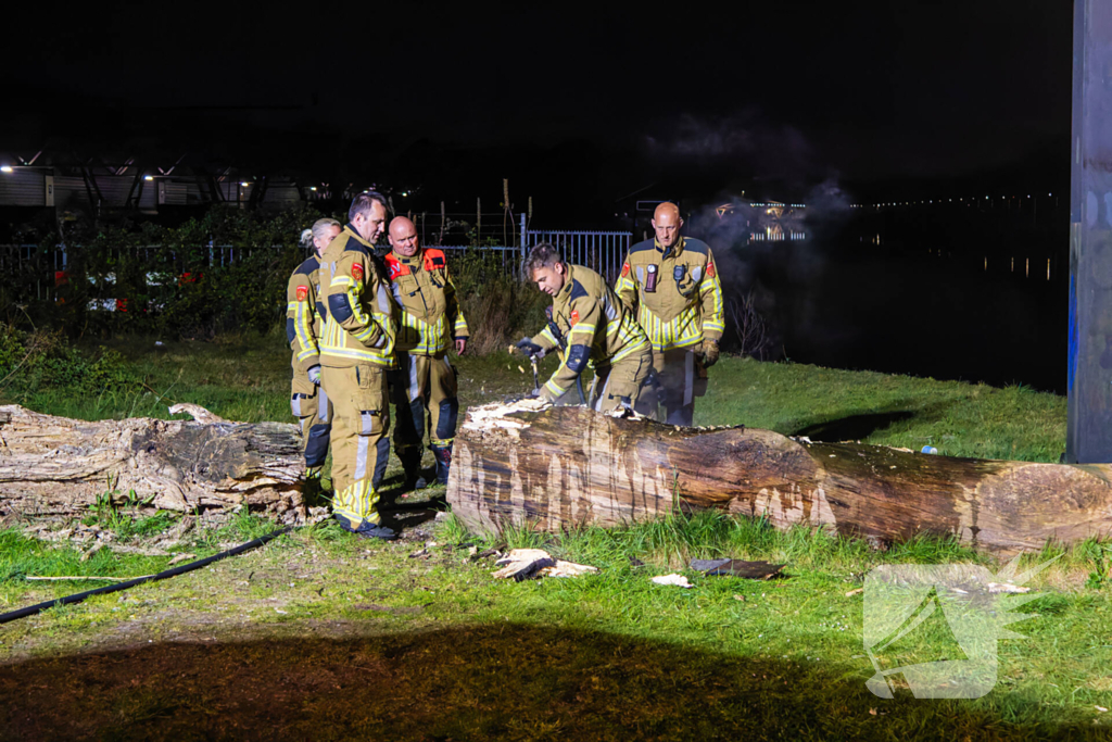 Brand ontstaan in boomstronk