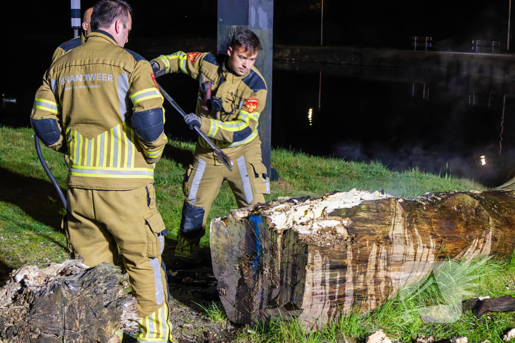 Brand ontstaan in boomstronk