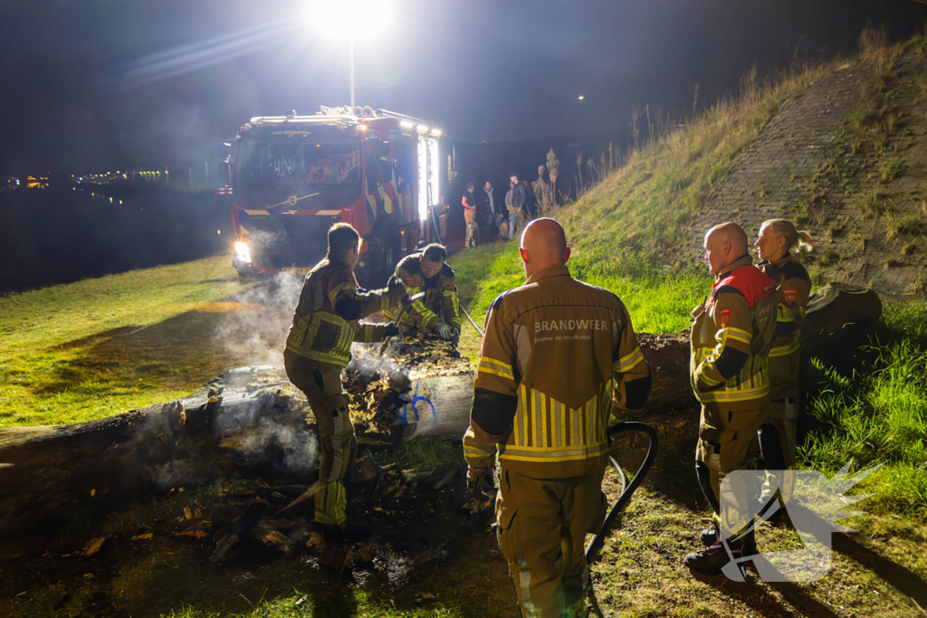 Brand ontstaan in boomstronk
