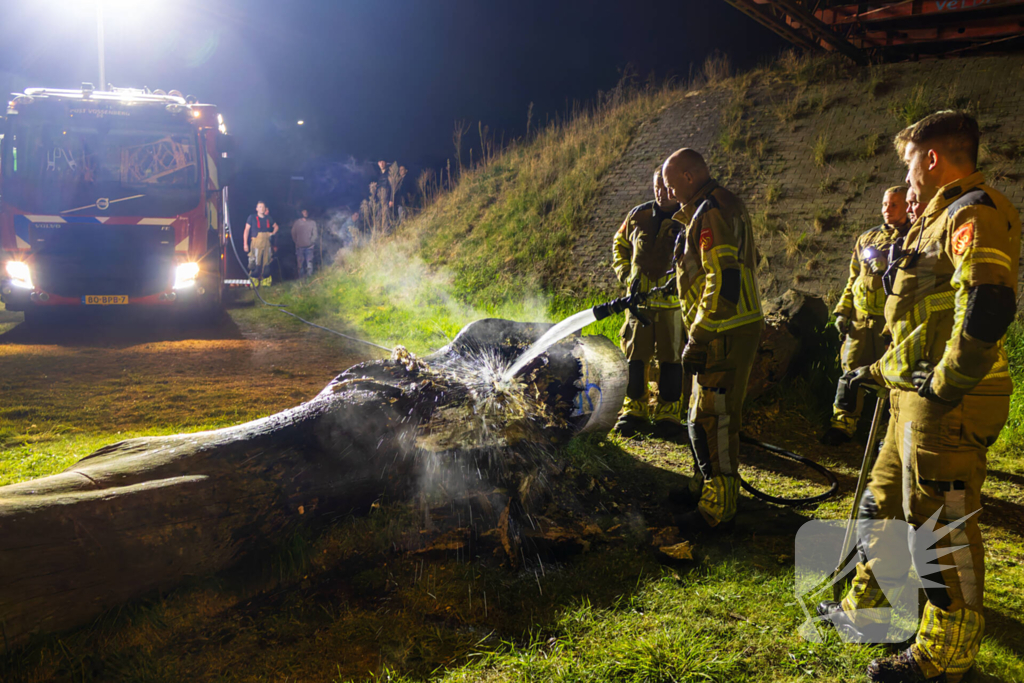 Brand ontstaan in boomstronk