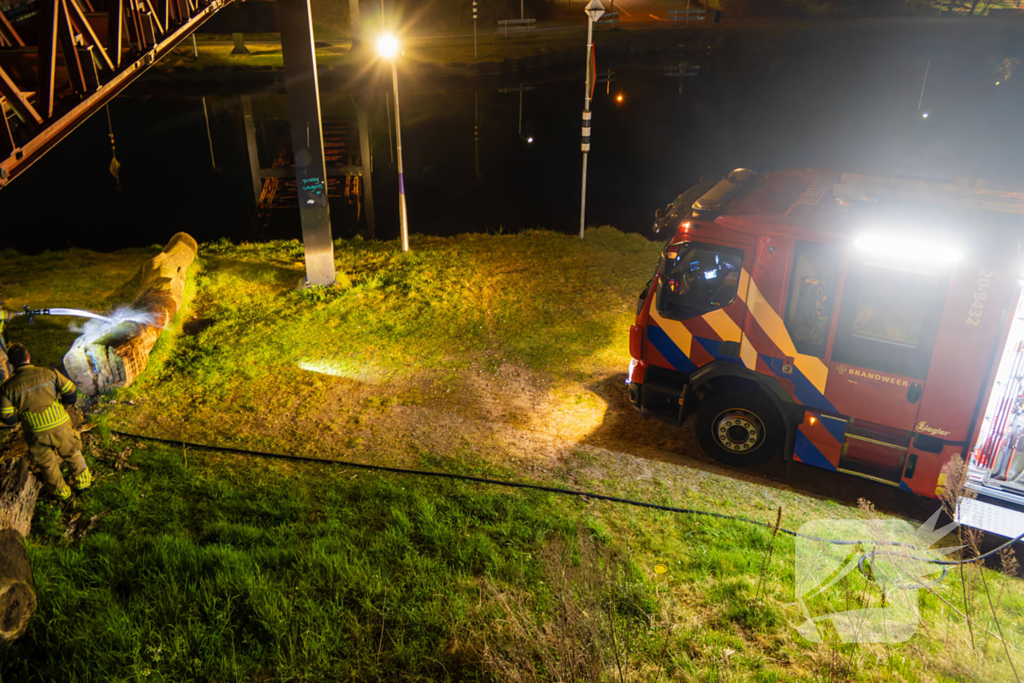 Brand ontstaan in boomstronk