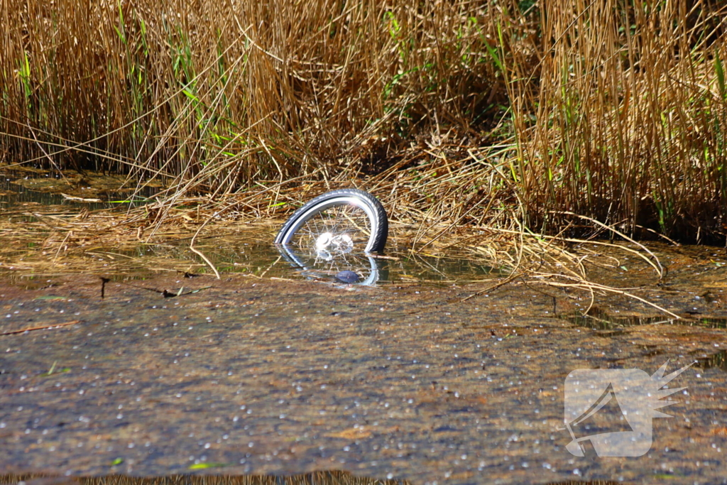 Automobilist bedenkt zich geen moment en springt water in als oudere te water raakt