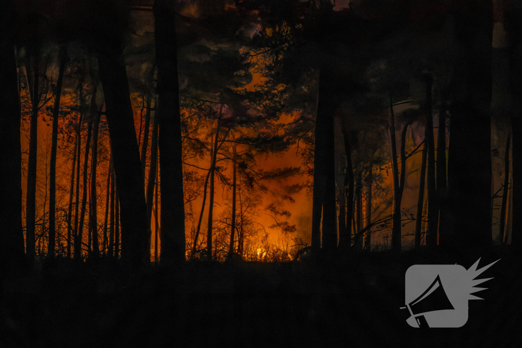 Verschillende hulpdiensten assisteren bij grote bosbrand