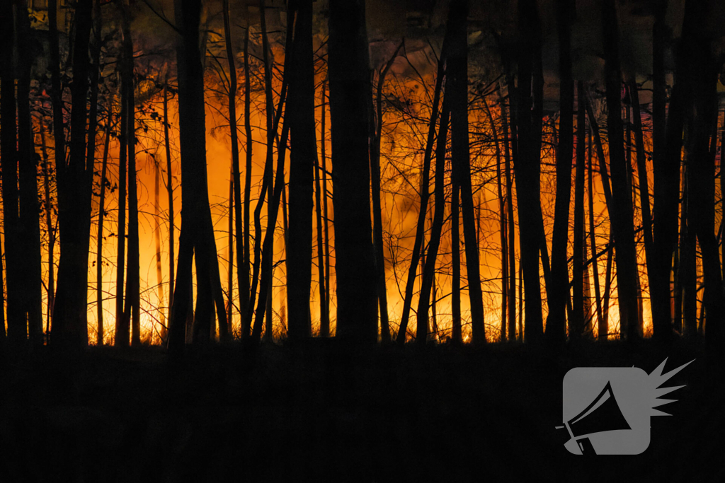 Verschillende hulpdiensten assisteren bij grote bosbrand