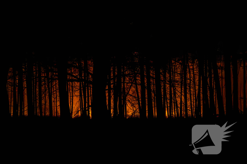Verschillende hulpdiensten assisteren bij grote bosbrand