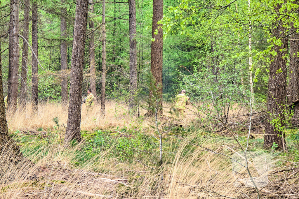 Bosbrand laait weer op