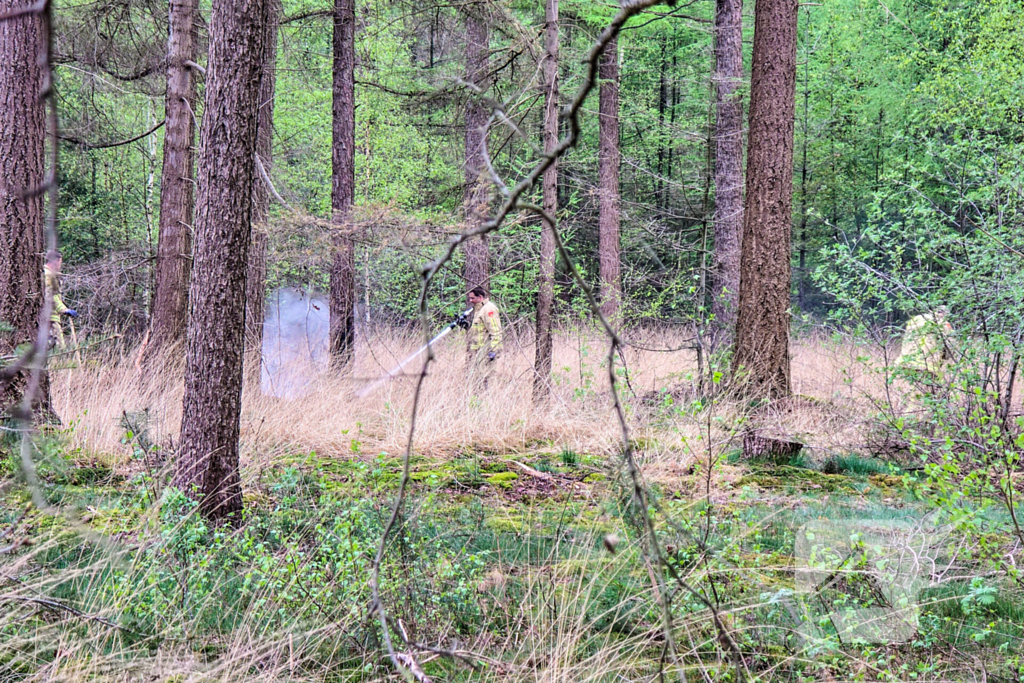 Bosbrand laait weer op