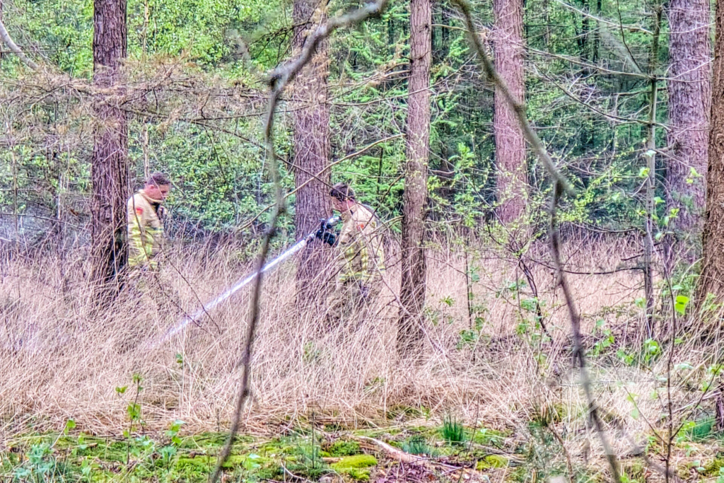 Bosbrand laait weer op