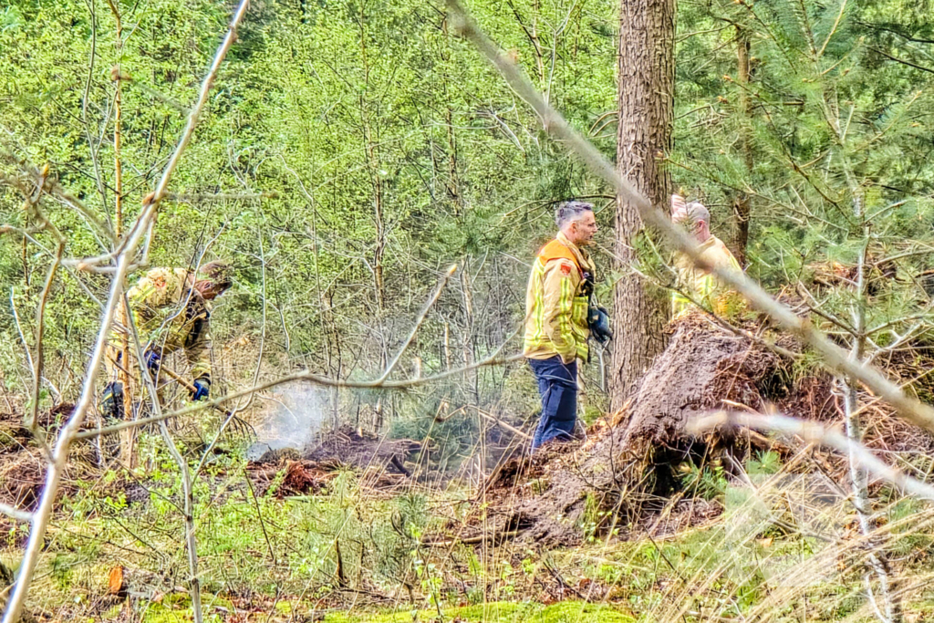 Bosbrand laait weer op