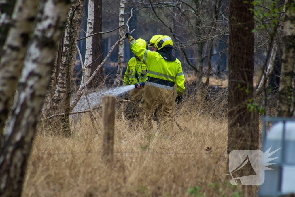 Brandweer blust wederom bosbrand