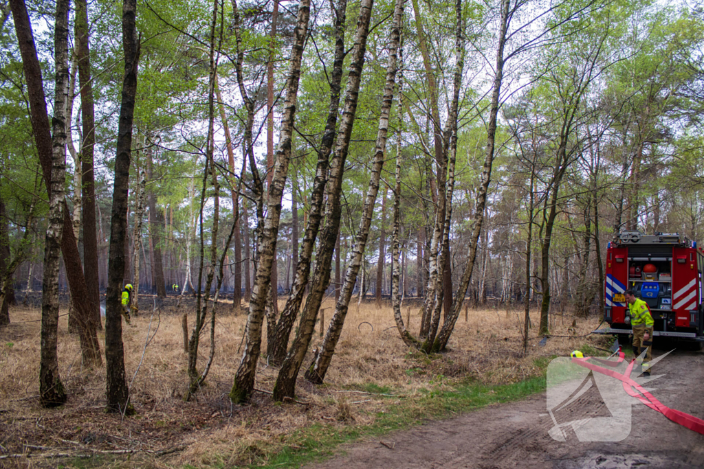 Brandweer blust wederom bosbrand