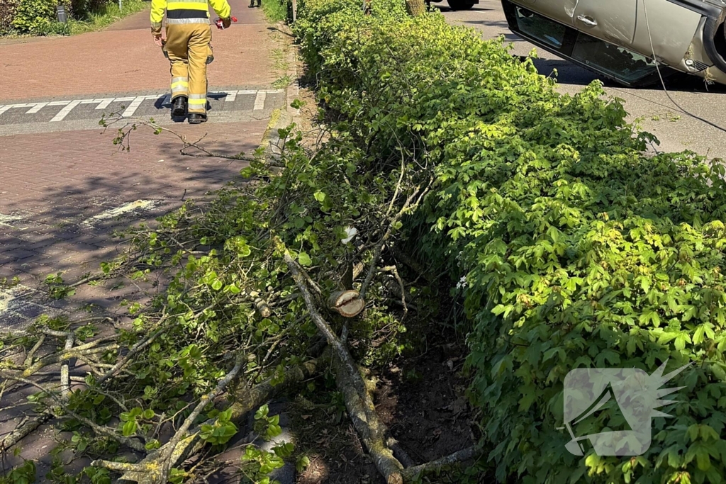 Automobilist ramt meerdere bomen en belandt op op zijn kop