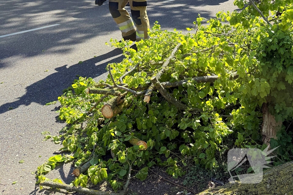 Automobilist ramt meerdere bomen en belandt op op zijn kop