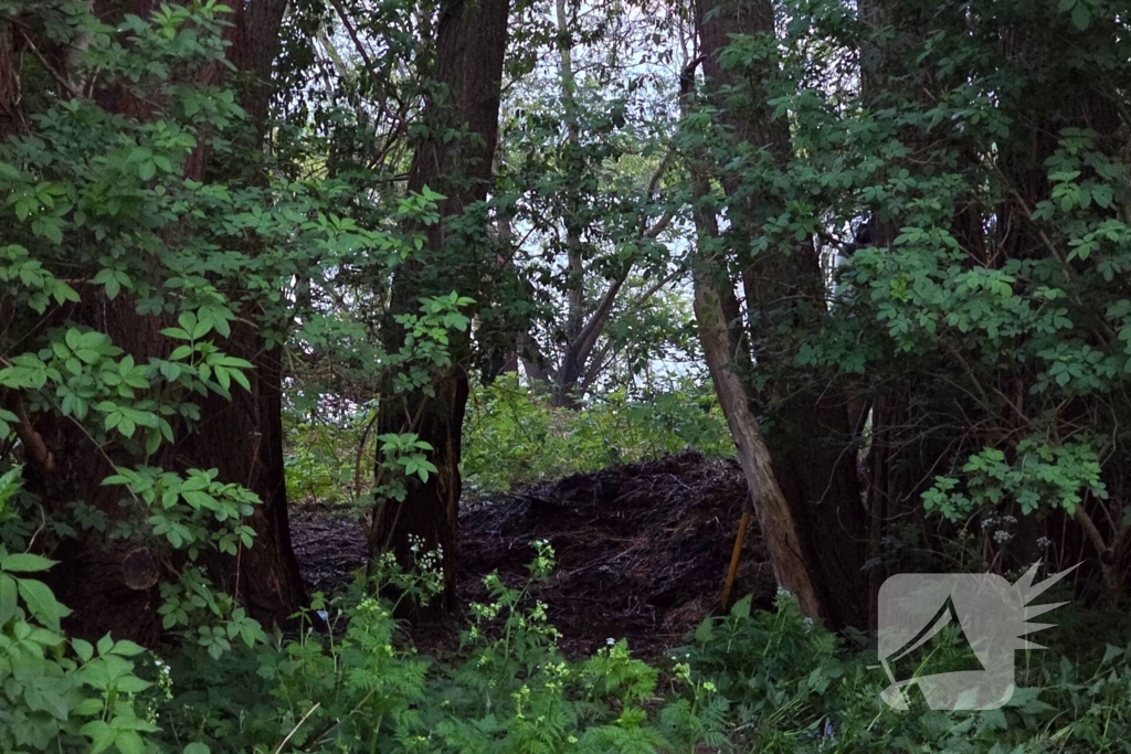 Brandweer blust brand in park