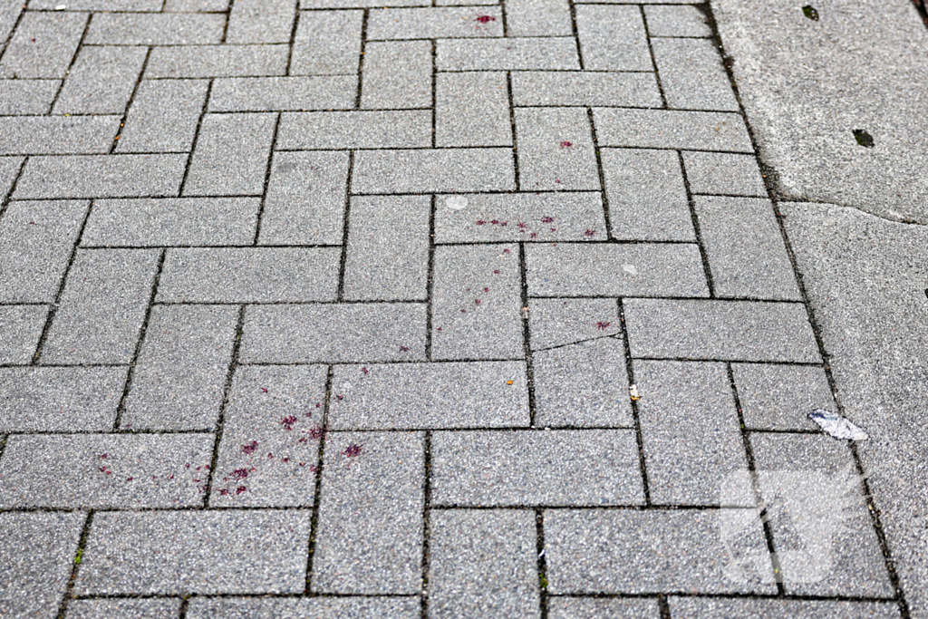 Gewonde en aanhoudingen bij steekincident