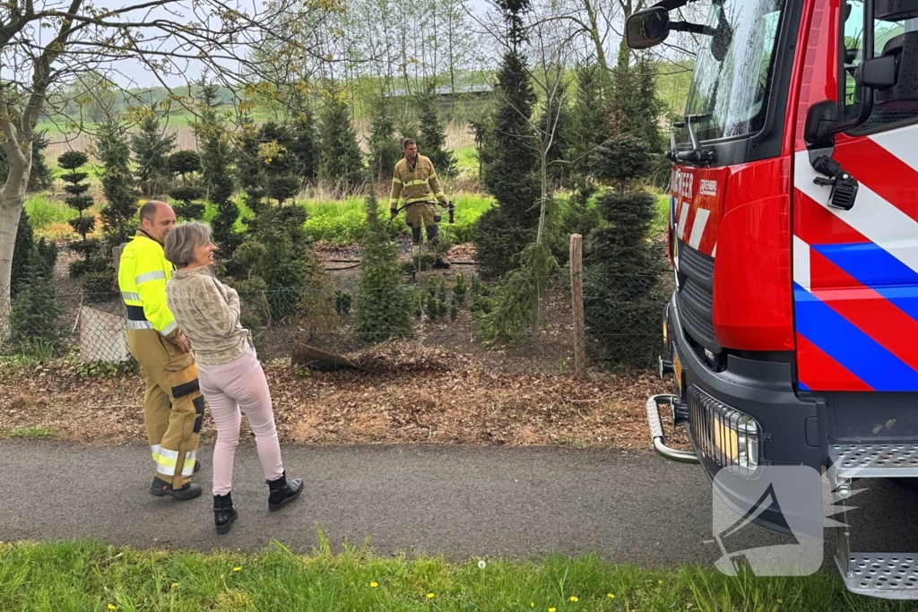 Buitenbrand snel onder controle