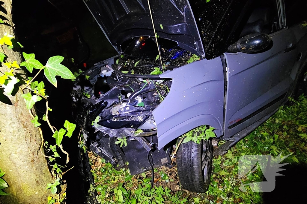 Bestuurder verliest controle over voertuig