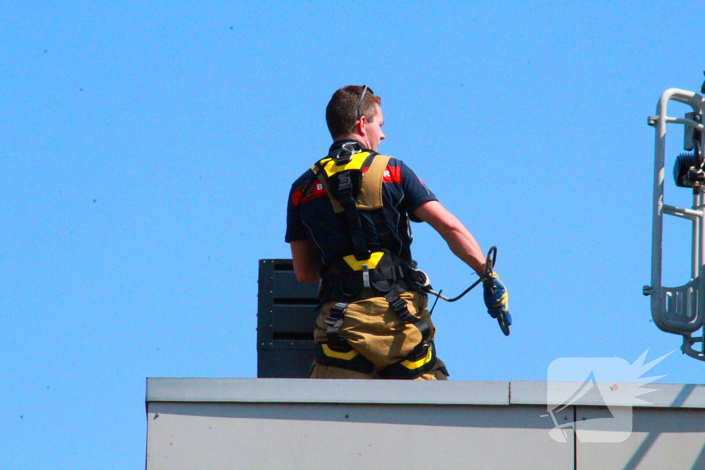 Brandweer redt kauw uit schoorsteen