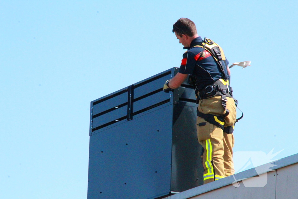Brandweer redt kauw uit schoorsteen