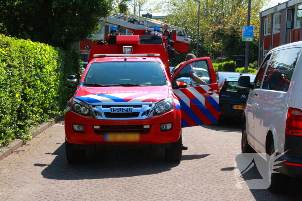 Brandweer redt kauw uit schoorsteen
