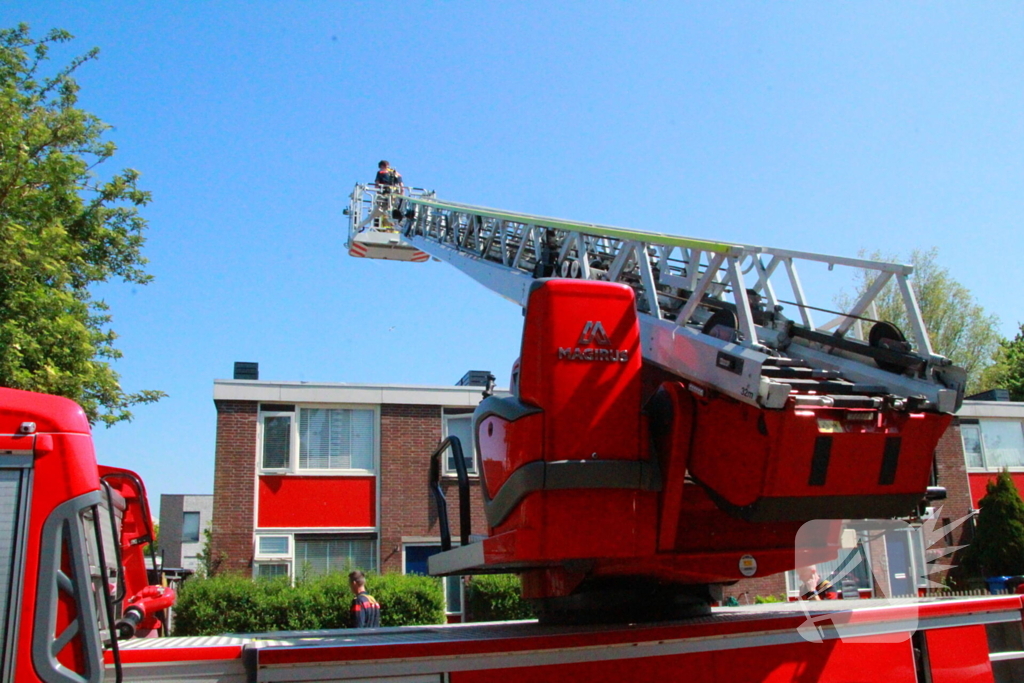 Brandweer redt kauw uit schoorsteen