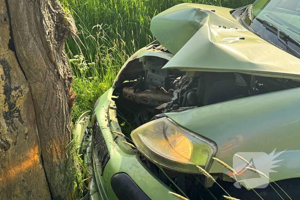 Bestuurder gewond bij botsing tegen boom