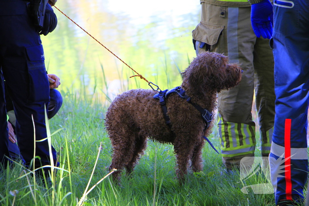 Hond en eigenaar vallen in water