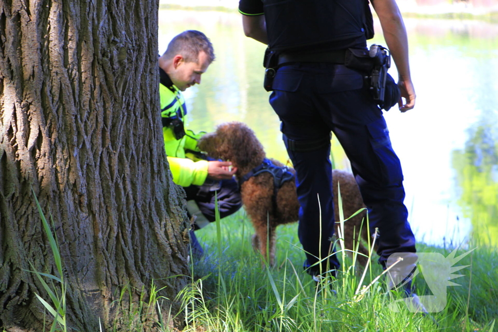 Hond en eigenaar vallen in water