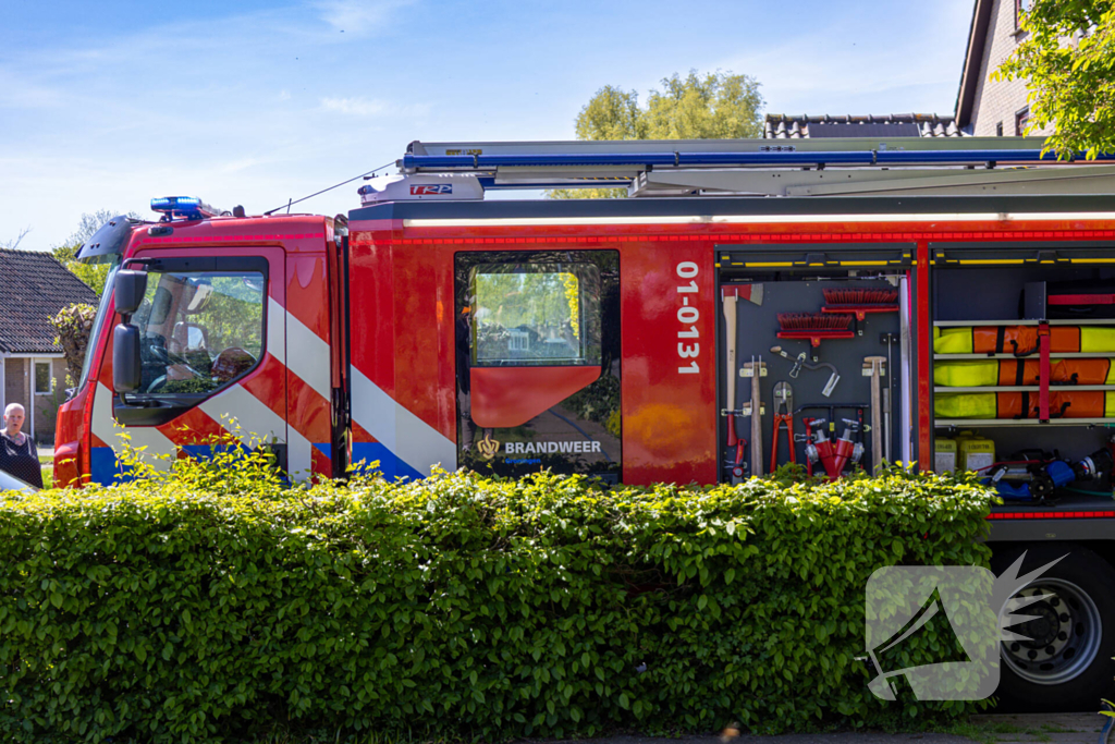 Brandweer redt cavia's uit brandende woning