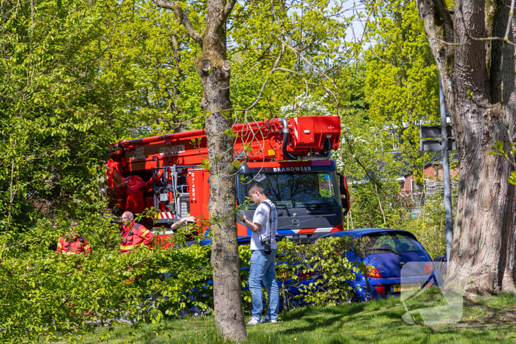 Brandweer redt cavia's uit brandende woning