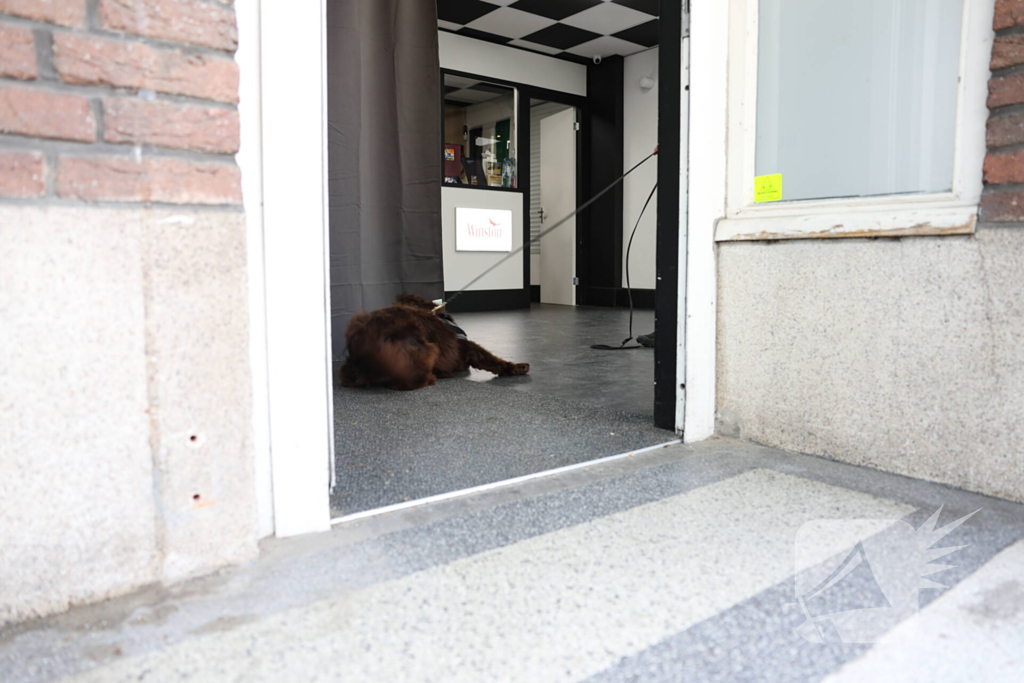 Illegale sigaretten, vapes en verboden medicatie aangetroffen tijdens controle