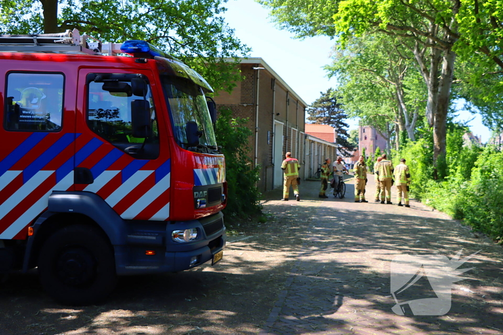 Takken vallen uit boom