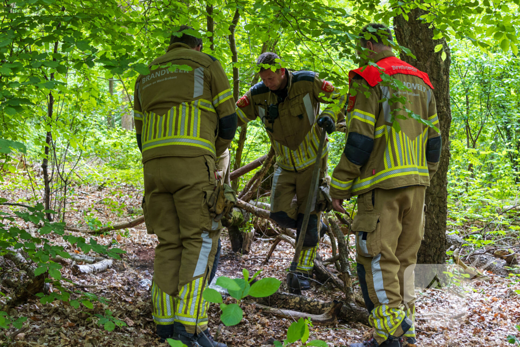 Brand in bosgebied Tilburg snel onder controle