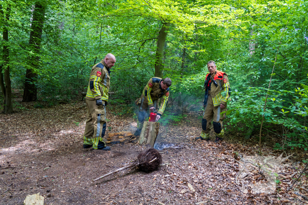 Brand in bosgebied Tilburg snel onder controle