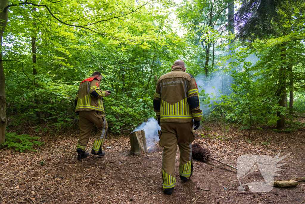 Brand in bosgebied Tilburg snel onder controle