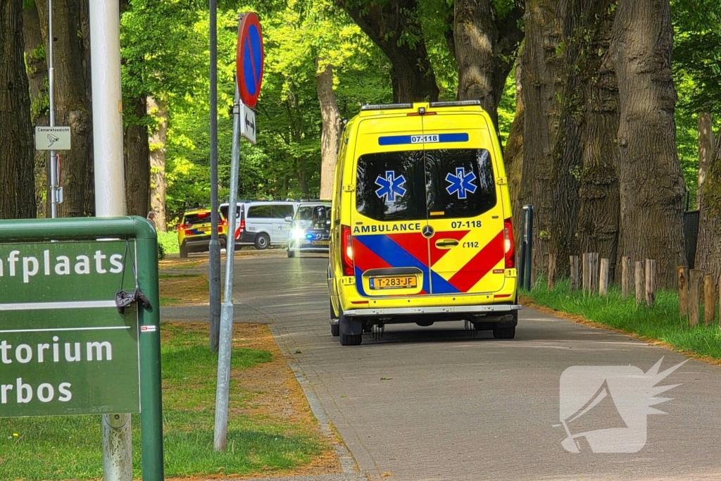 Twee gewonden bij ongeval met paard en wagen