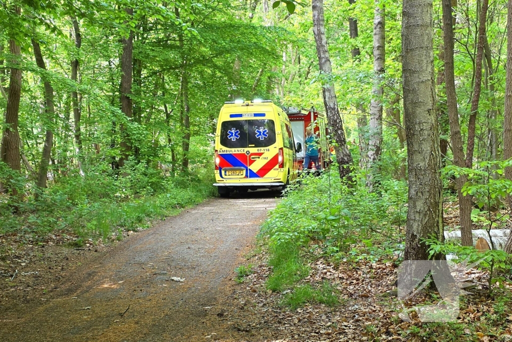 Twee gewonden bij ongeval met paard en wagen